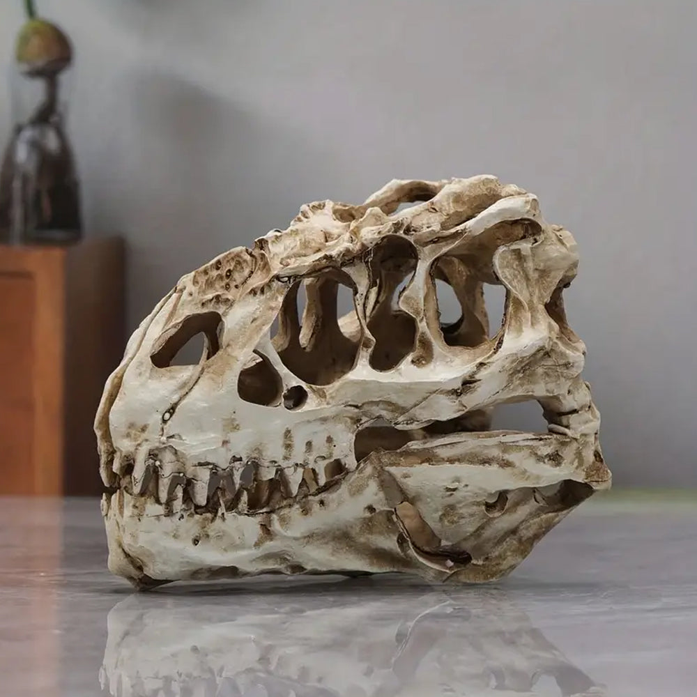 Dinosaur T-Rex Fossil Skull Resin Model