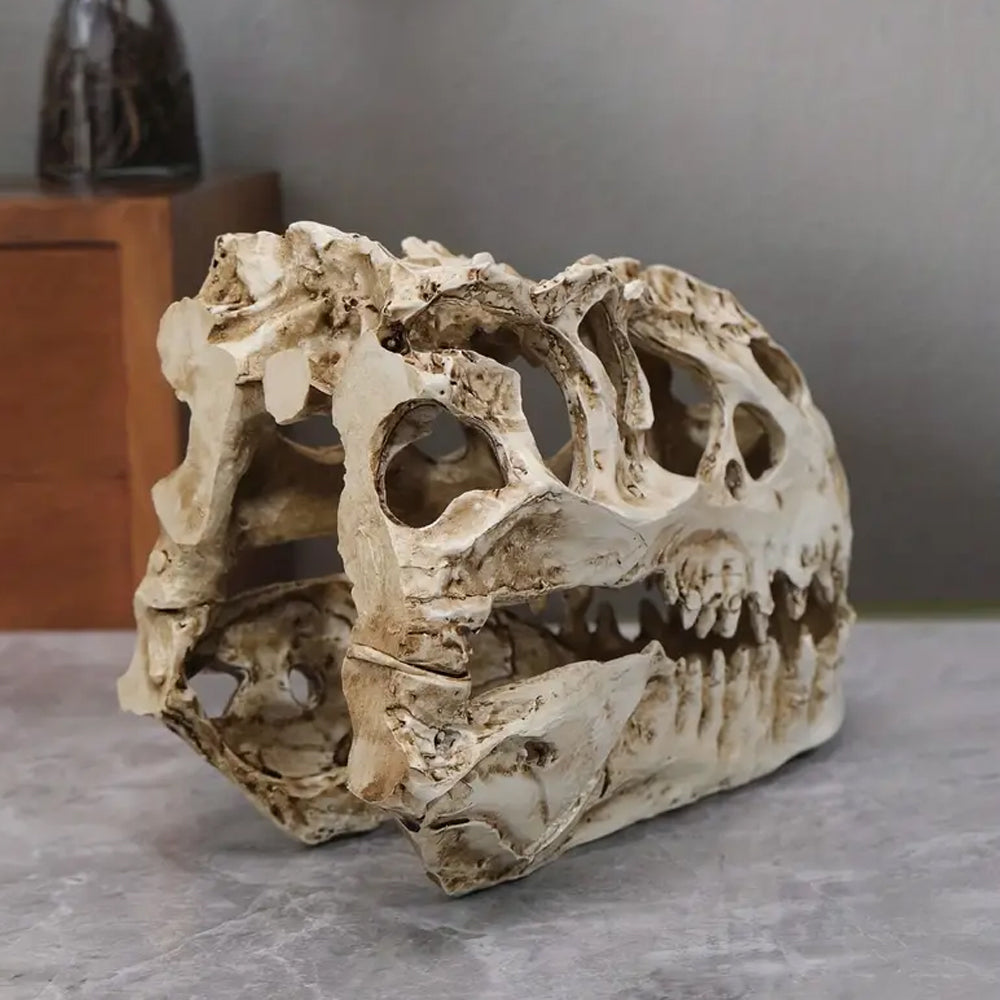 Dinosaur T-Rex Fossil Skull Resin Model