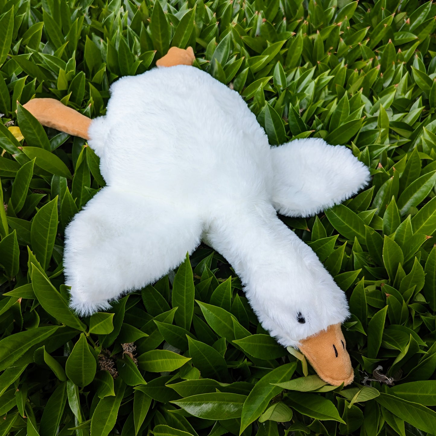 Fluffy White Goose Stuffed Plush Toy