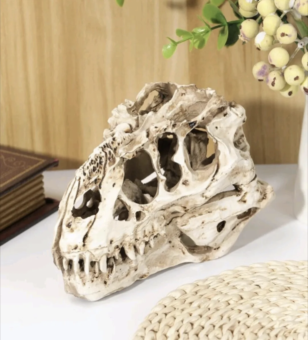 Dinosaur T-Rex Fossil Skull Resin Model