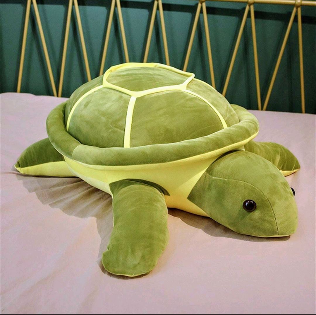 Turtle Pet Plush Toy - 25cm